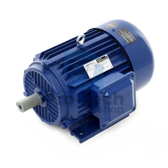 Електродвигун 4.0kW 2880rpm 380V 10369